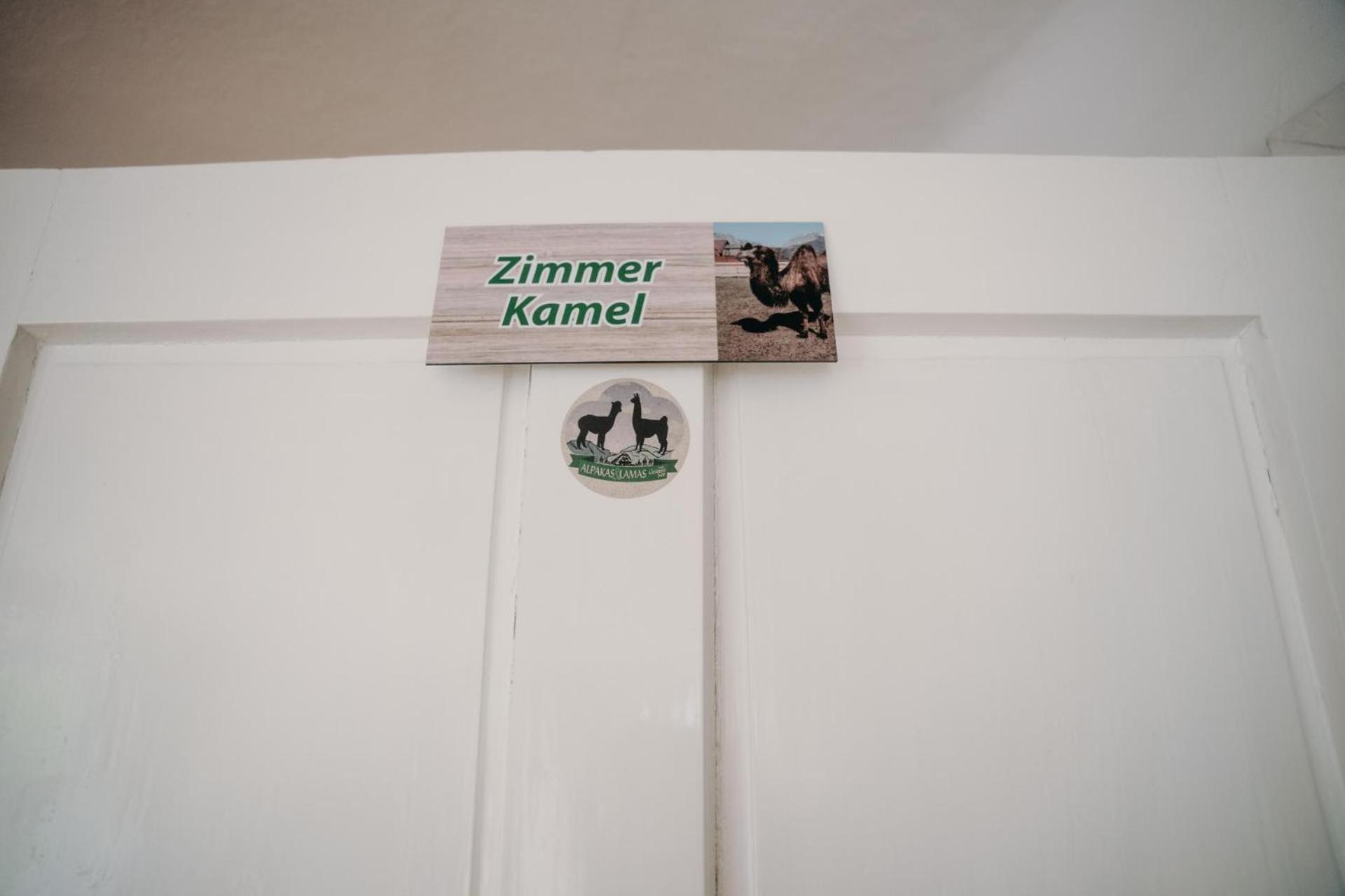 Alpakas, Lamas Und Rentiere Zum Gruenen See Grossdorf  Eksteriør bilde
