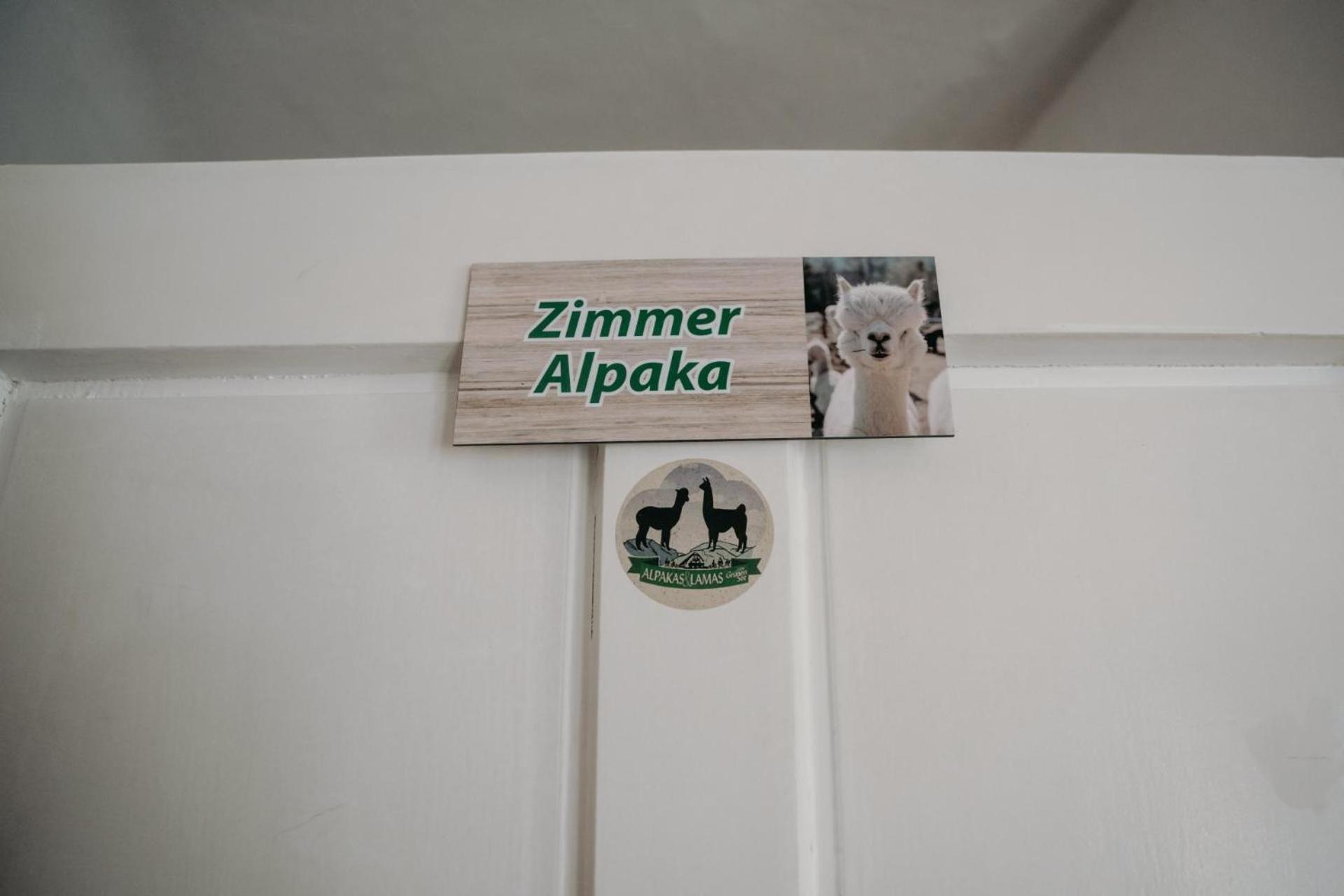 Alpakas, Lamas Und Rentiere Zum Gruenen See Grossdorf  Eksteriør bilde